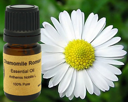 Chamomile: A Timeless Remedy for Health and Wellness